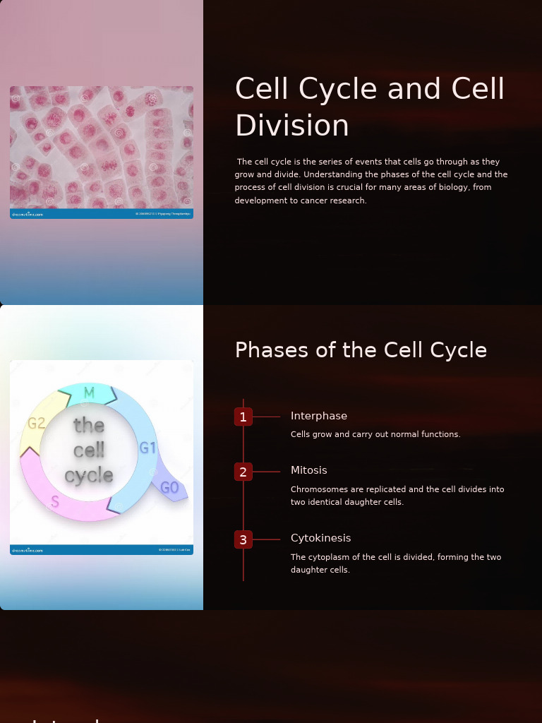 Understanding Cell Cycle Phases and Division | PDF | Mitosis | Cell Cycle