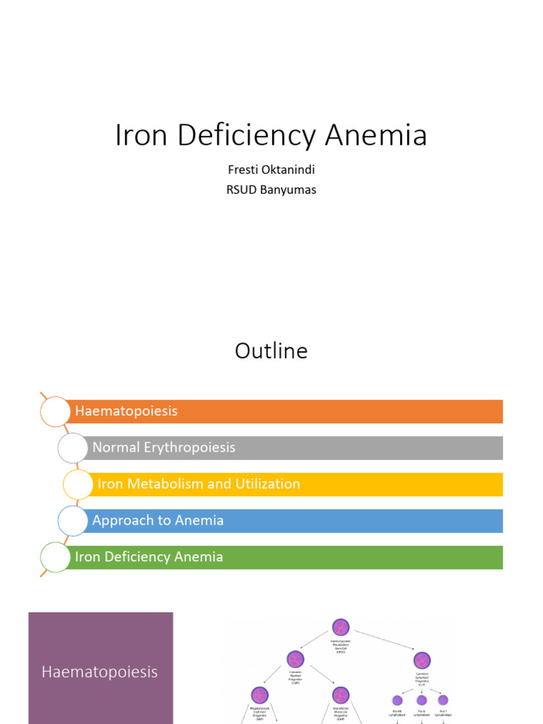 Understanding Iron Deficiency Anemia | PDF | Anemia | Red Blood Cell