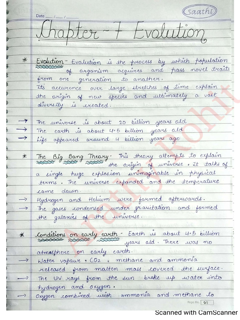 Evolution Notes by Anisha Verma | PDF
