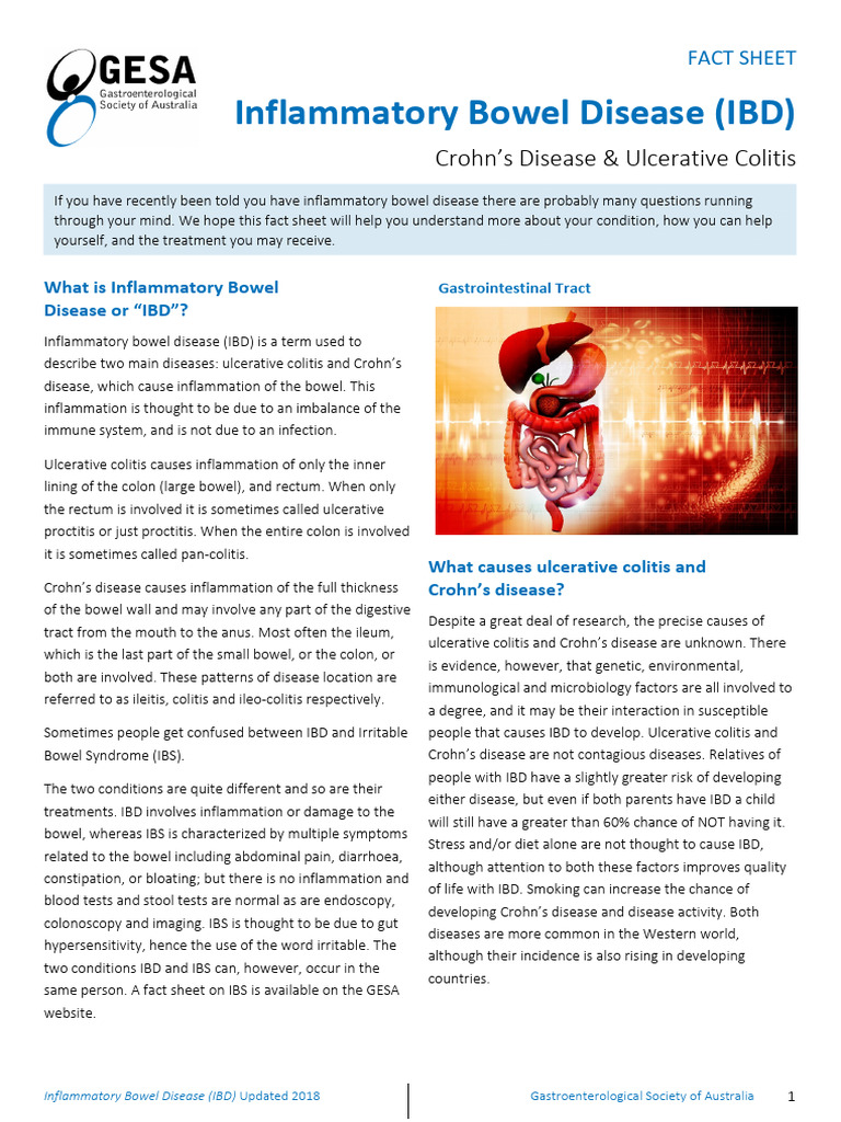 Understanding Inflammatory Bowel Disease | PDF | Inflammatory Bowel ...
