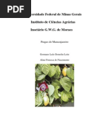 Pragas Do Maracujazeiro