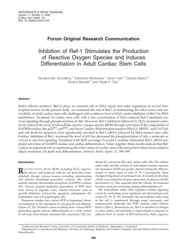 Inhibition of Ref-1 Stimulates The Production of Reactive Oxygen ...