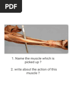 SPP Exam Instructions and Format | PDF | Collision | Rotation