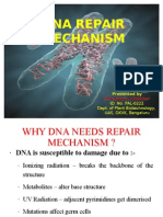 Dna Repair Mechanism: ID. No. PAL-0222 Dept. of Plant Biotechnology, UAS, GKVK, Bengaluru