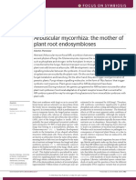 2008 Parniske Nat Rev Microbiol