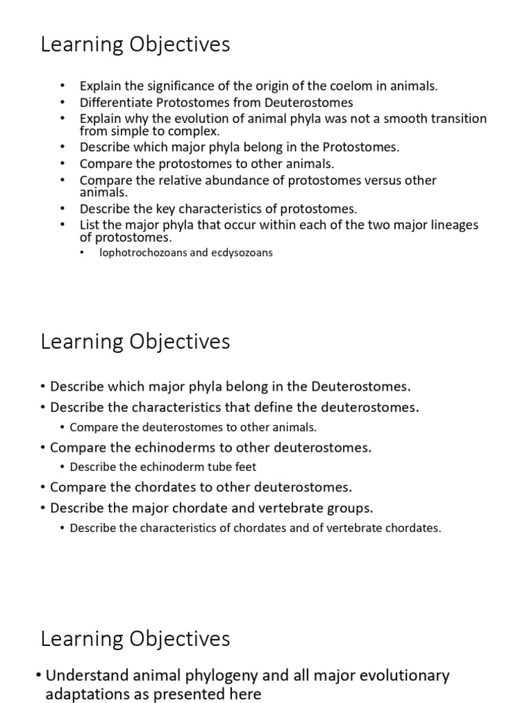 Animal Phylogeny and Classification Overview | PDF | Thermoregulation ...