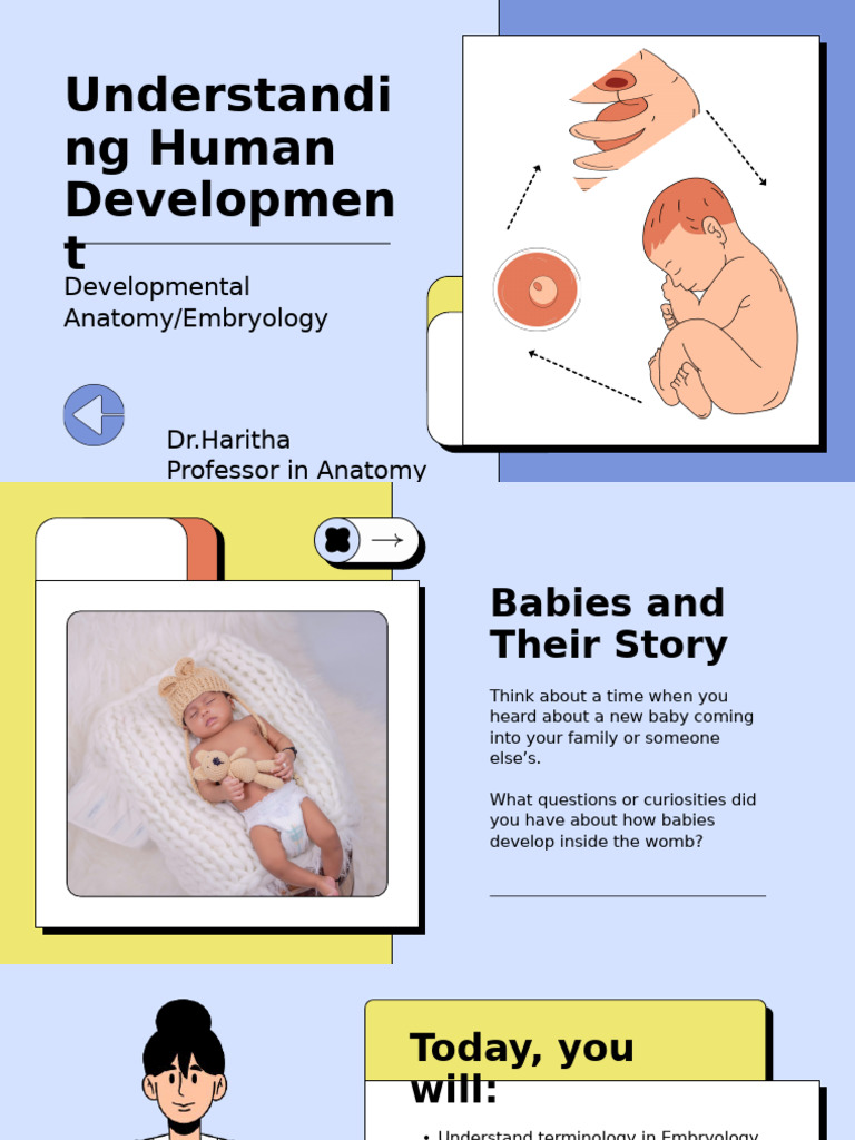 Introduction and Gametogenesis | PDF | Reproductive System | Human ...
