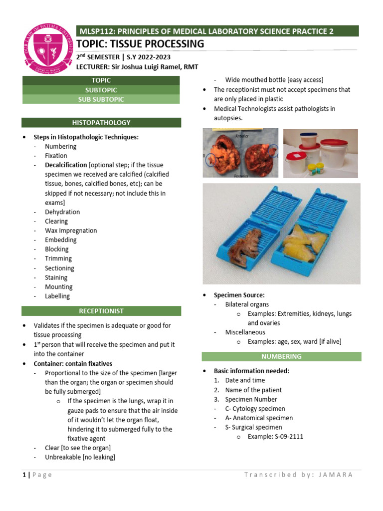 Lesson 4 (Lab) - Tissue Processing | PDF | Fixation (Histology) | Staining