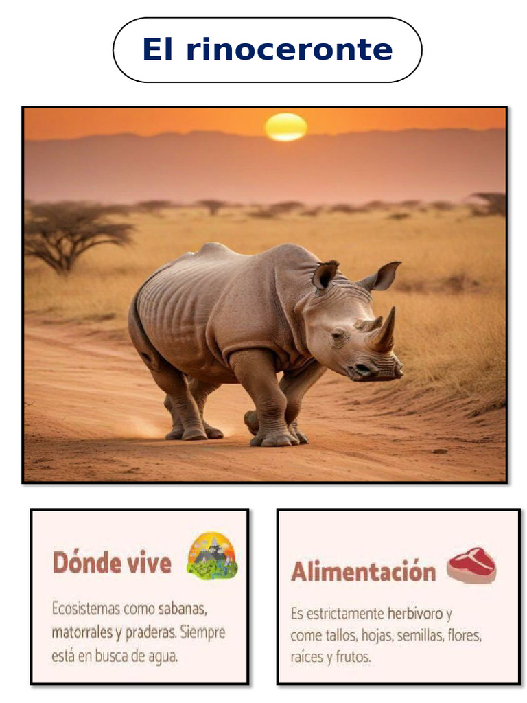Rinoceronte | PDF