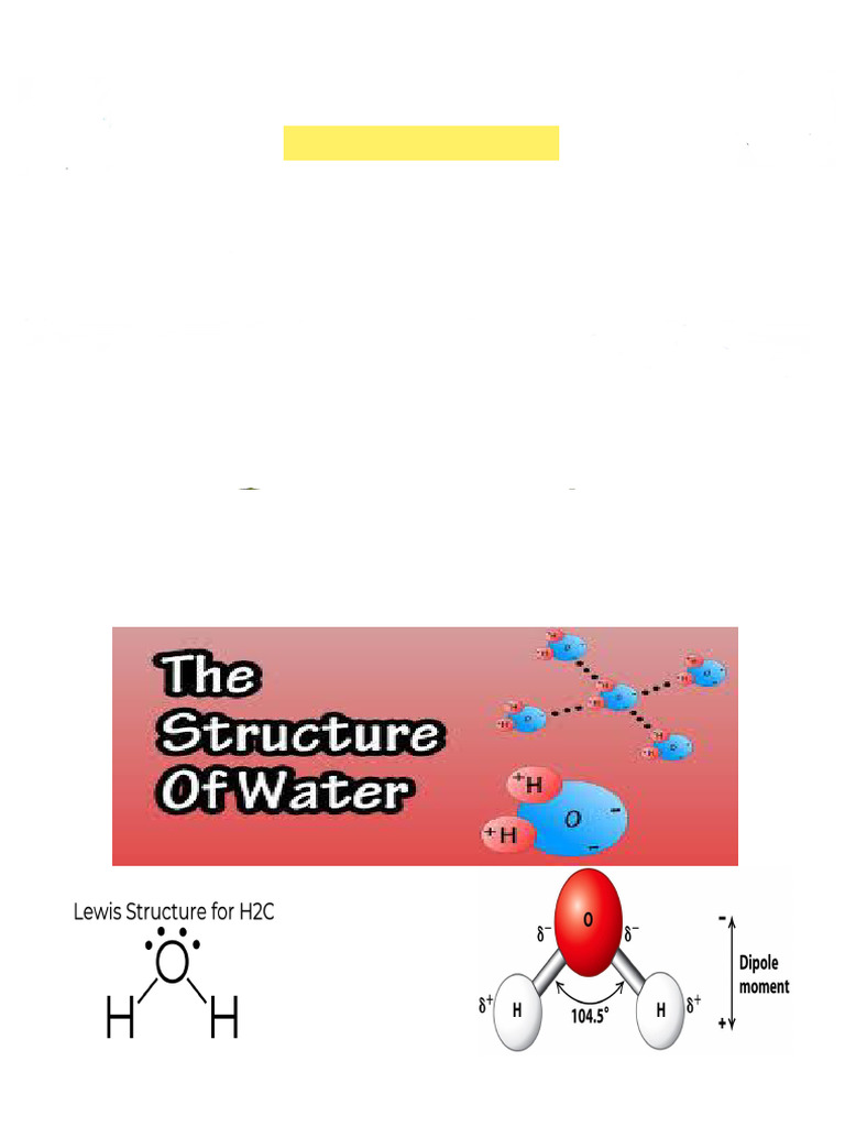 Understanding Water in Food Chemistry | PDF | Properties Of Water ...