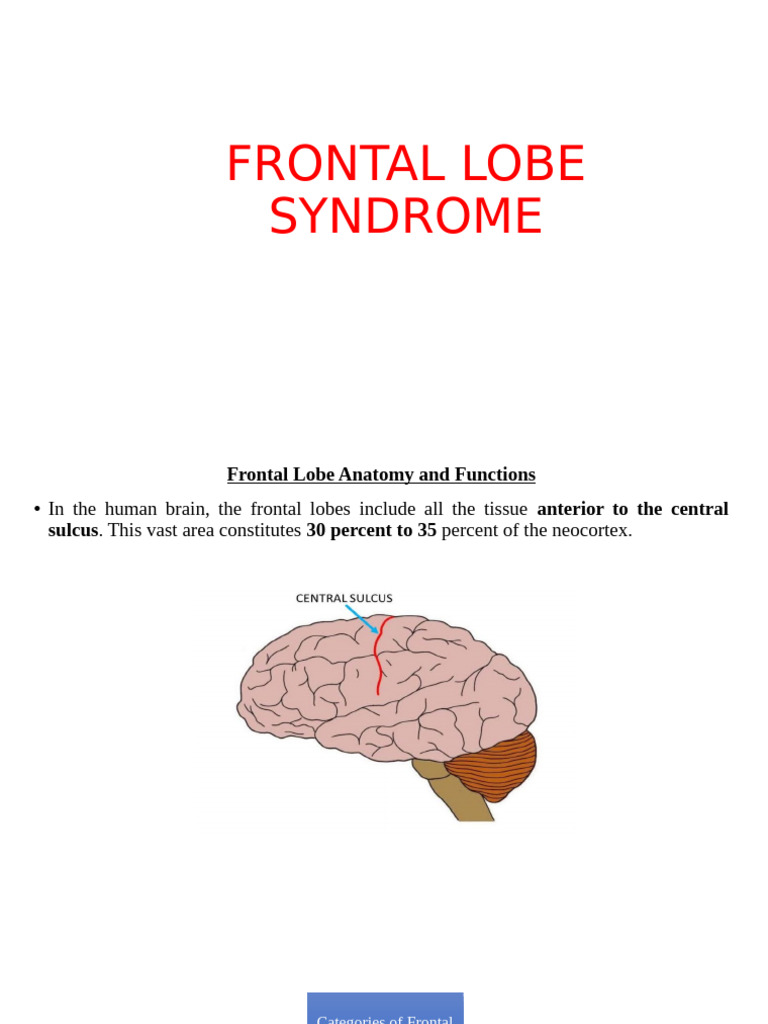 Understanding Frontal Lobe Syndrome | PDF | Frontal Lobe | Prefrontal ...