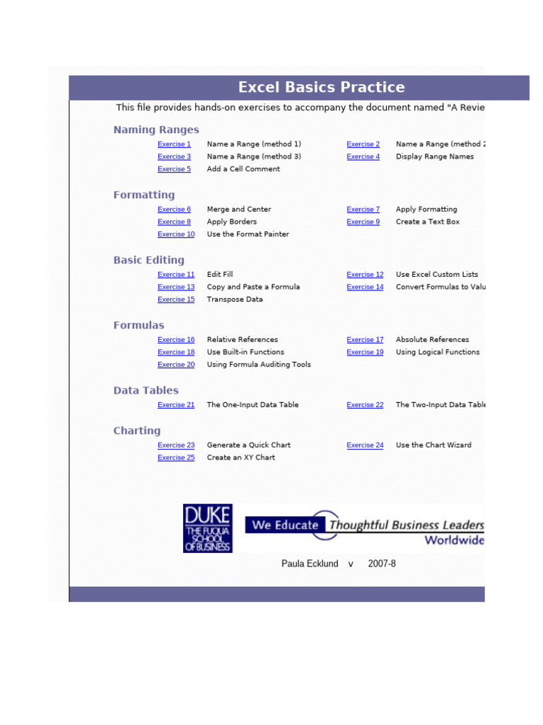 Excel Basics Hands-On Exercises | PDF | Microsoft Excel | Menu (Computing)