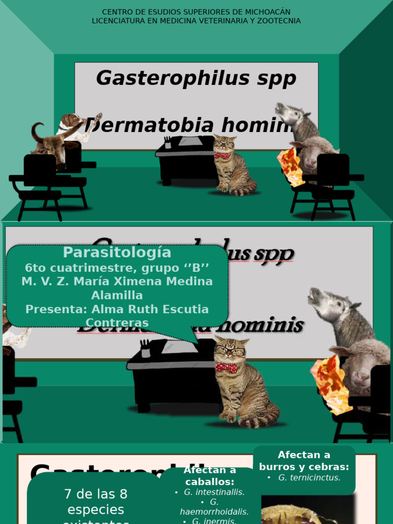 Derma To Biay Gas Tero Phil Us | PDF | Mosca | Zoología