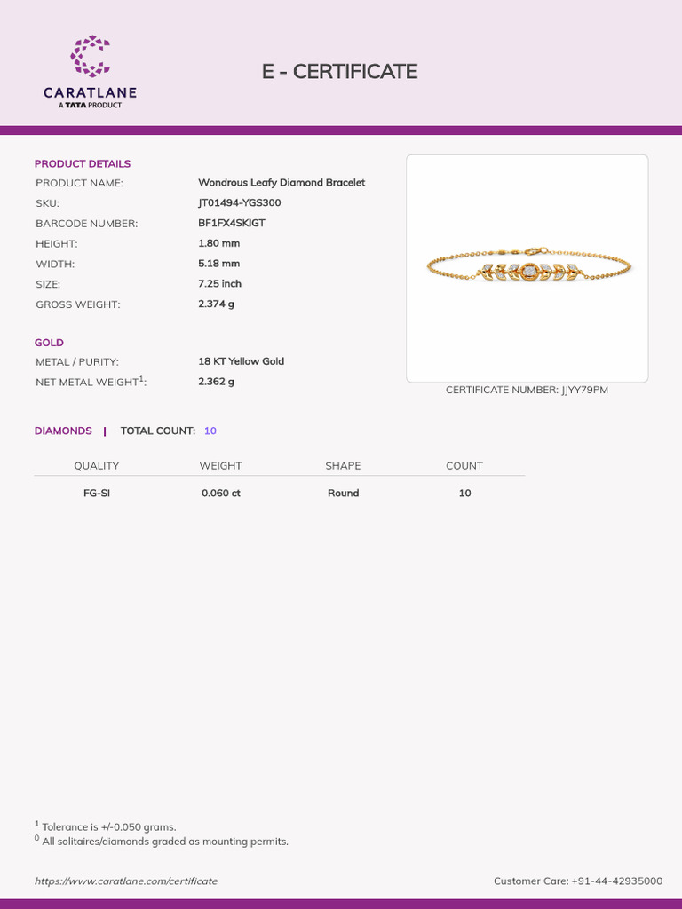 E - Certificate | PDF