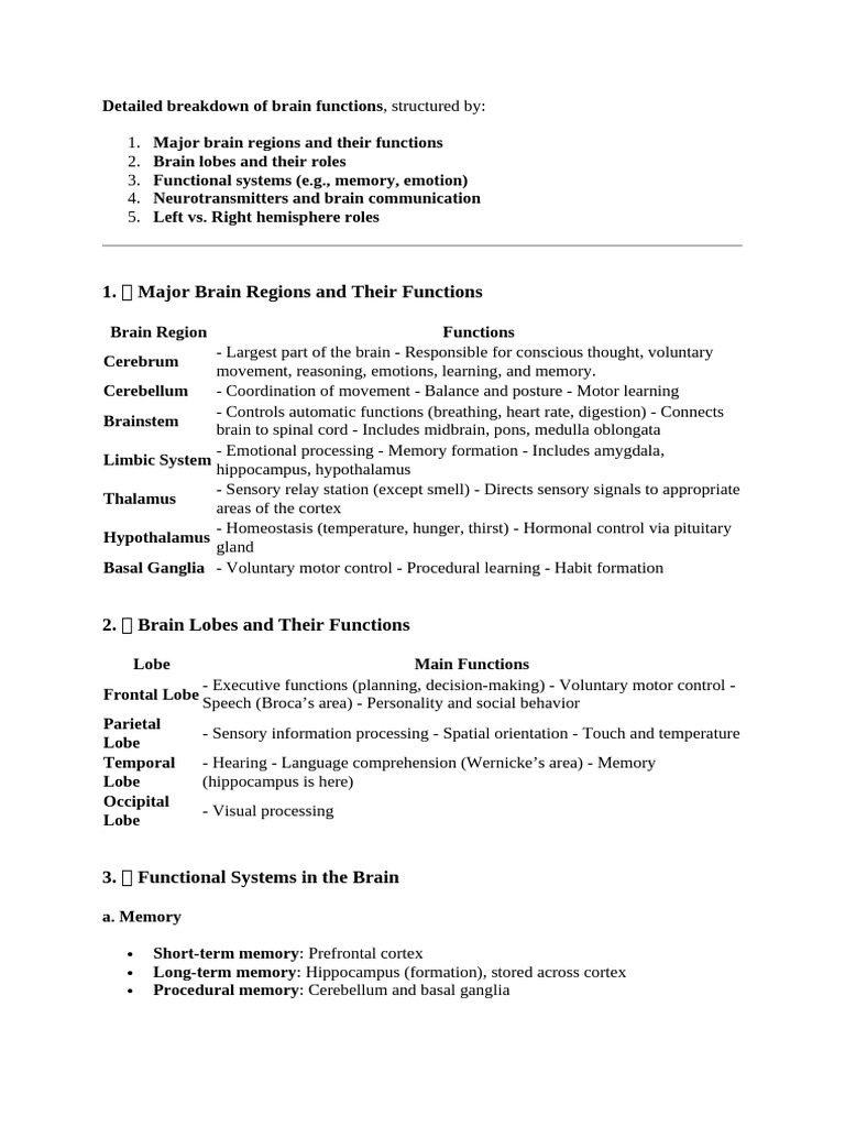 Brain Functions and Structures Overview | PDF | Brain | Cerebrum