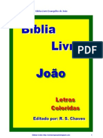 Bíblia Livre Evangelho de João R S Chaves