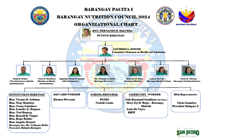 Barangay Nutrition Council Org Chart 2024 | PDF
