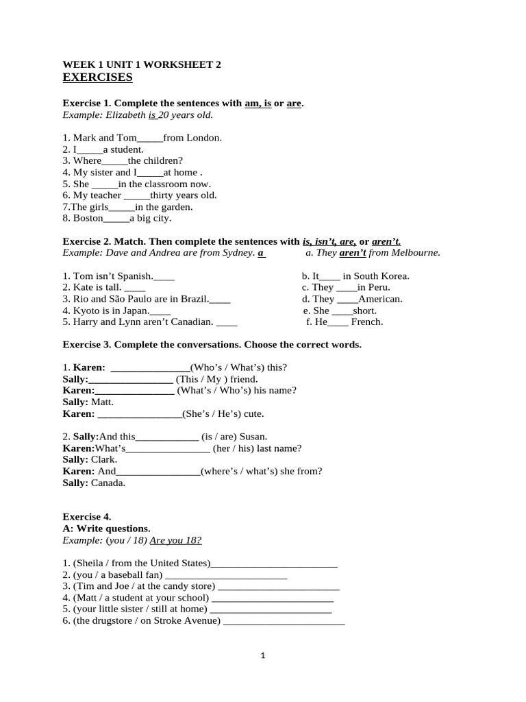 Beginner English Grammar Exercises | PDF
