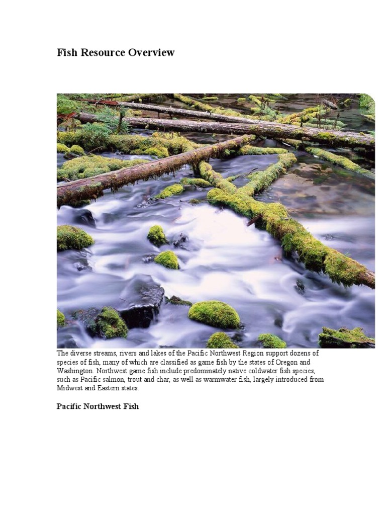 Fish Resources | PDF | Rainbow Trout | Spawn (Biology)