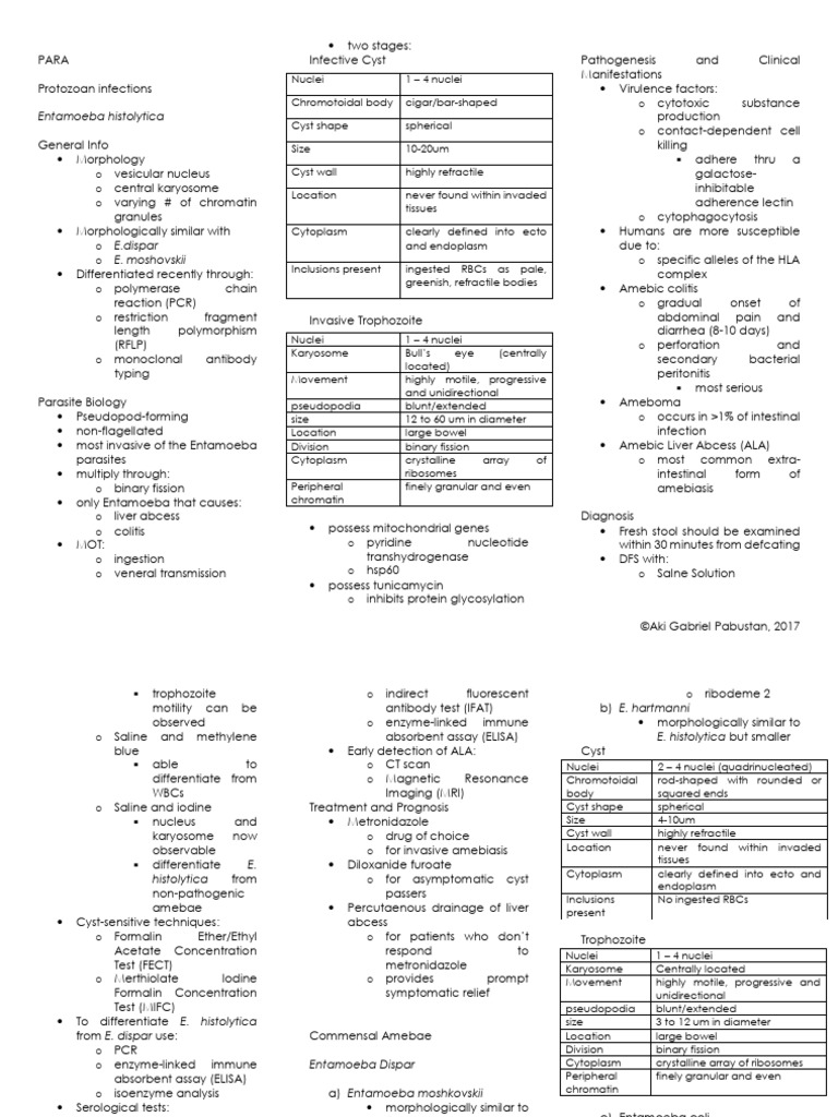 Entamoeba histolytica Overview and Diagnosis | PDF | Biology