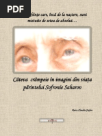 Viata in Imagini a Parintelui Sofronie Saharov