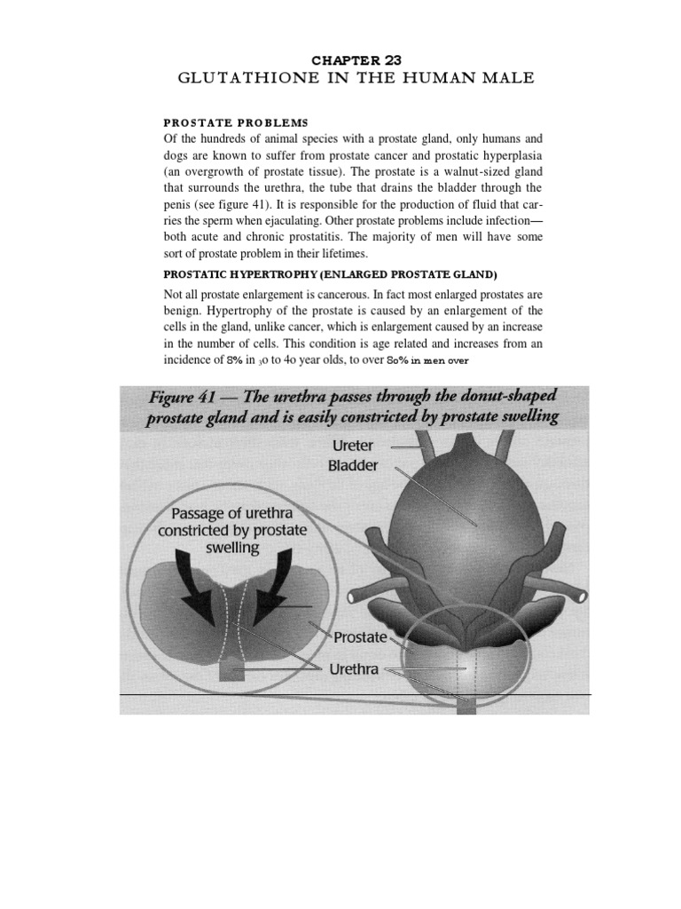 does one dose of tylenol deplete glutathione Exposure to acetaminophen and all its metabolites upon 10, 15, and 20 mg/kg  intravenous acetaminophen in very-preterm infants