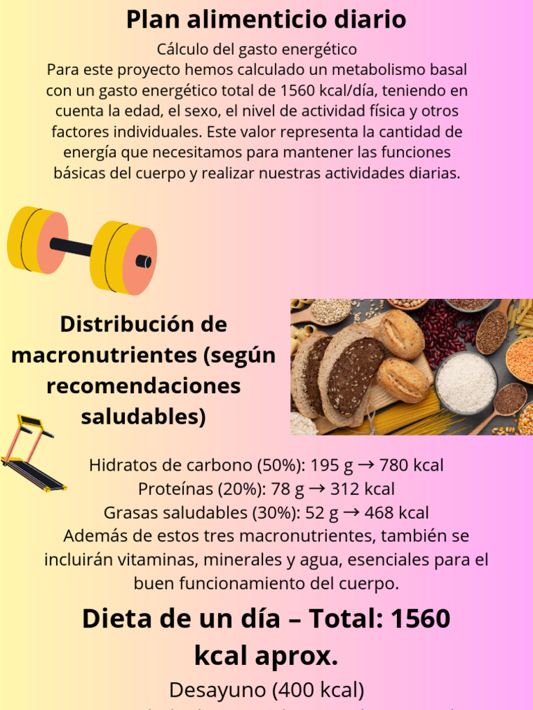 Plan de dieta diaria: 1560 kcal y nutrientes | PDF | Nutrición | Dieta ...