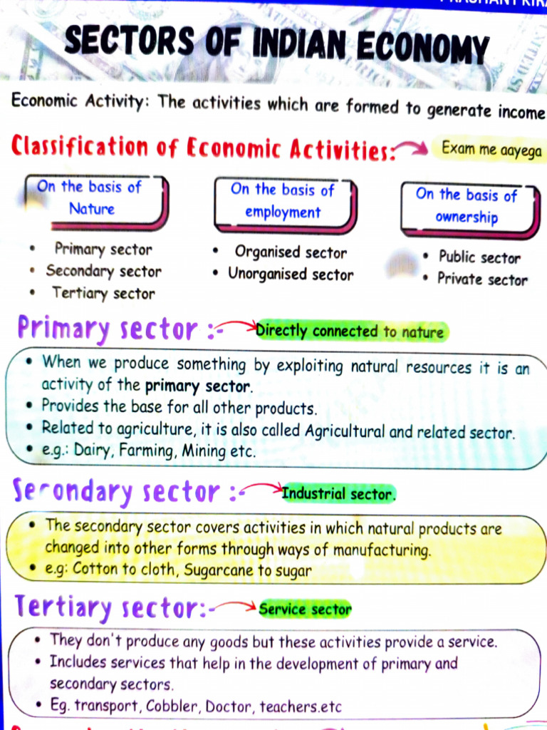 Sectors of Indian Economy | PDF | Underemployment | Gross Domestic Product