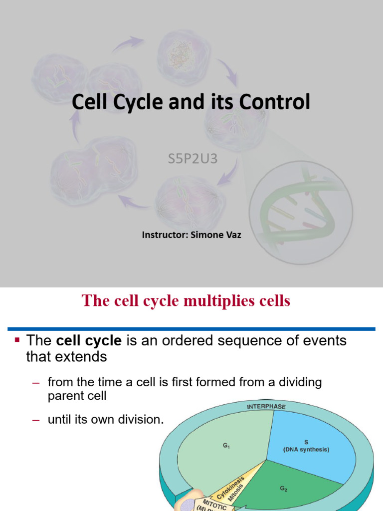 Understanding the Cell Cycle Control | PDF | Cell Cycle | Biotechnology