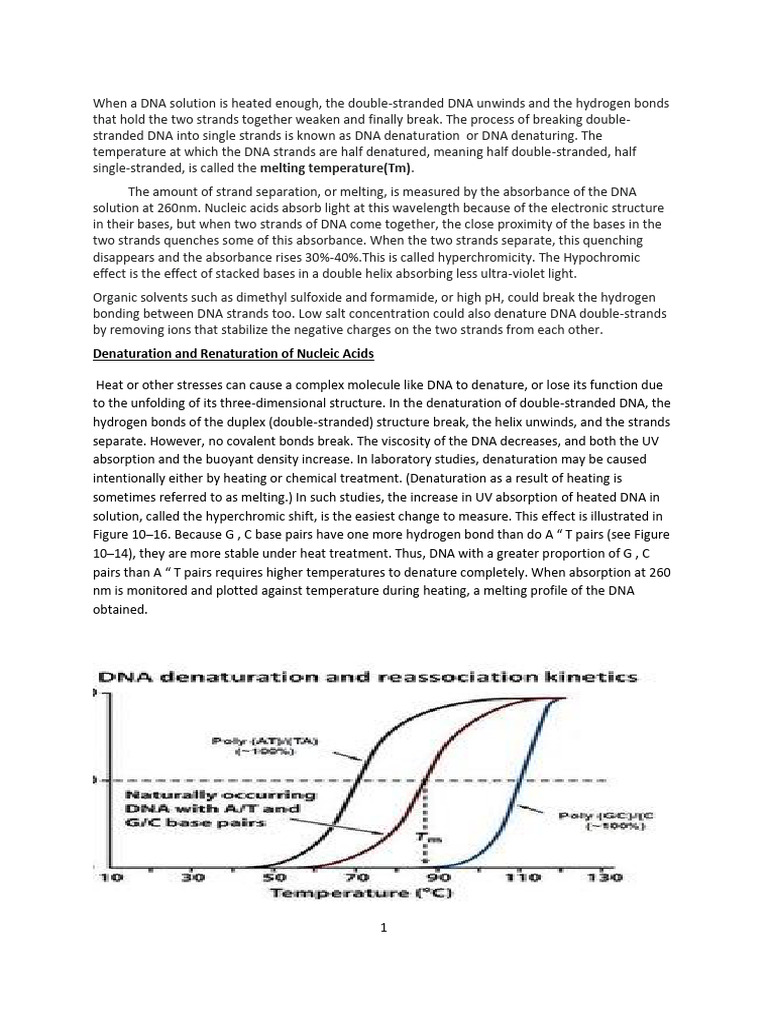 DNA Denaturation and Renaturation Explained | PDF | Genome ...