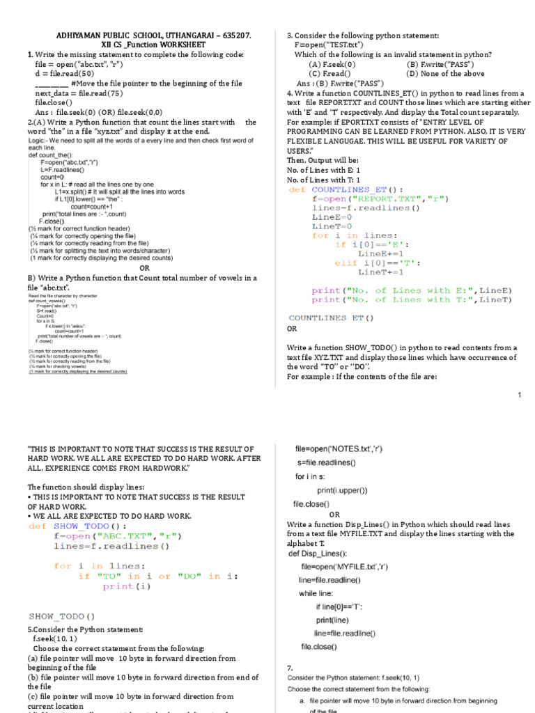 XII CS TXT File Worksheet | PDF | Text File | Computing