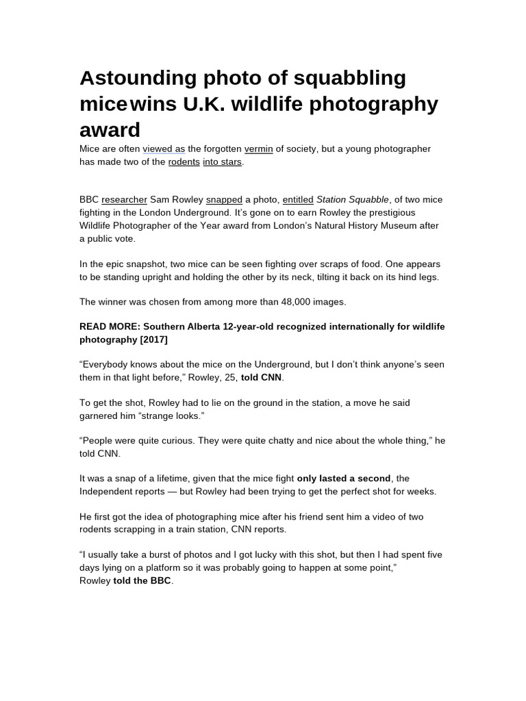 Astounding Photo of Squabbling Mice Wins U | PDF