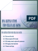 Unit 6: Commission: Dna Replication and Cellular Aging