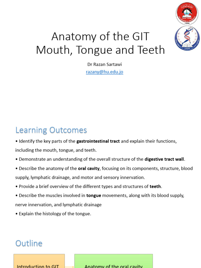 GIT Anatomy: Oral Cavity & Tongue | PDF | Esophagus | Tongue