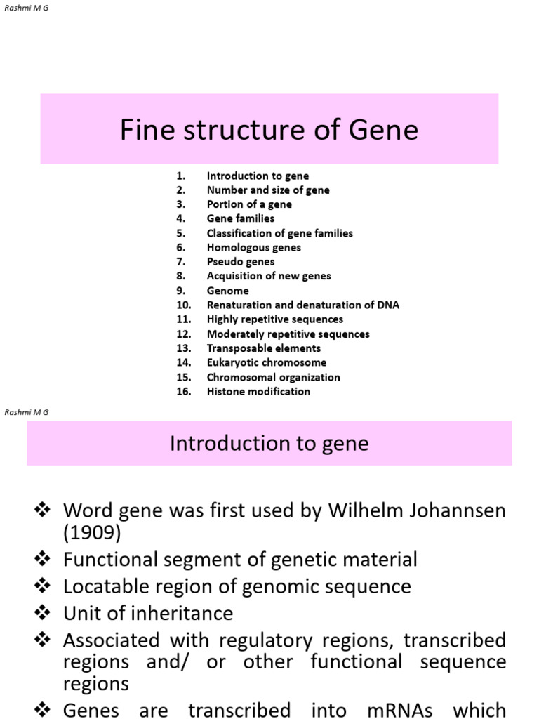 Understanding Gene Structure and Families | PDF | Gene | Genome