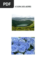 A FLORA DOS AÇORES E DA MADEIRA