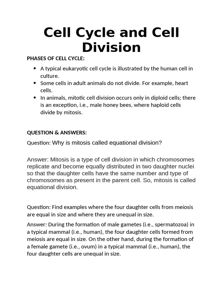 Cell Cycle and Cell Division | PDF
