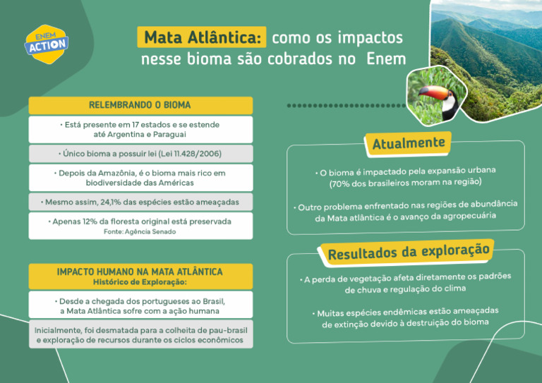 Mapa Mental de Geografia Mata Atlantica | PDF