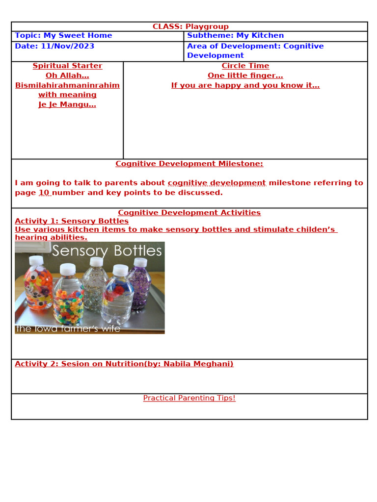 Lesson Plan Format For Cognitive Development | PDF