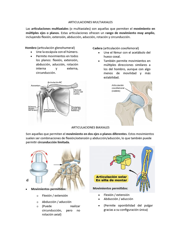 Articulaciones Multiaxiales: Tipos y Movimientos | PDF | Articulación ...