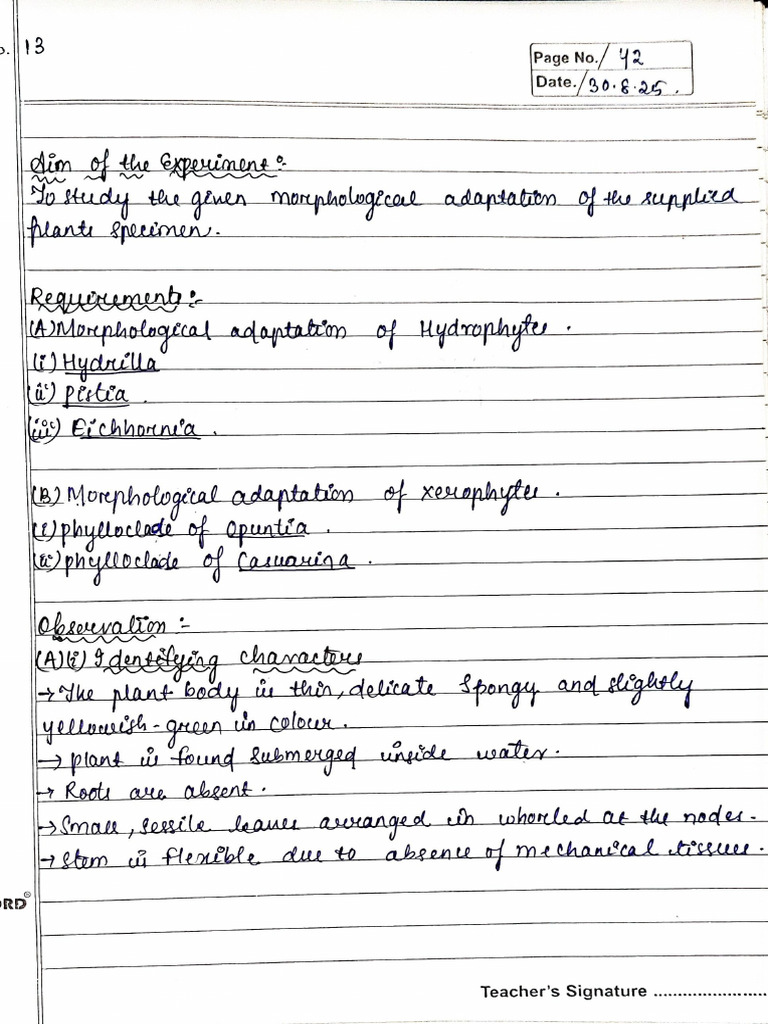 Experiment 13 | PDF