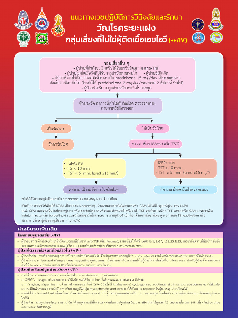 03 A4 Risk Group CPG TPT | PDF