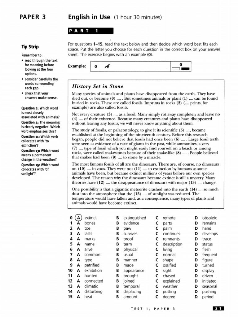 Plus 1 - Test 1 - Use of English | PDF