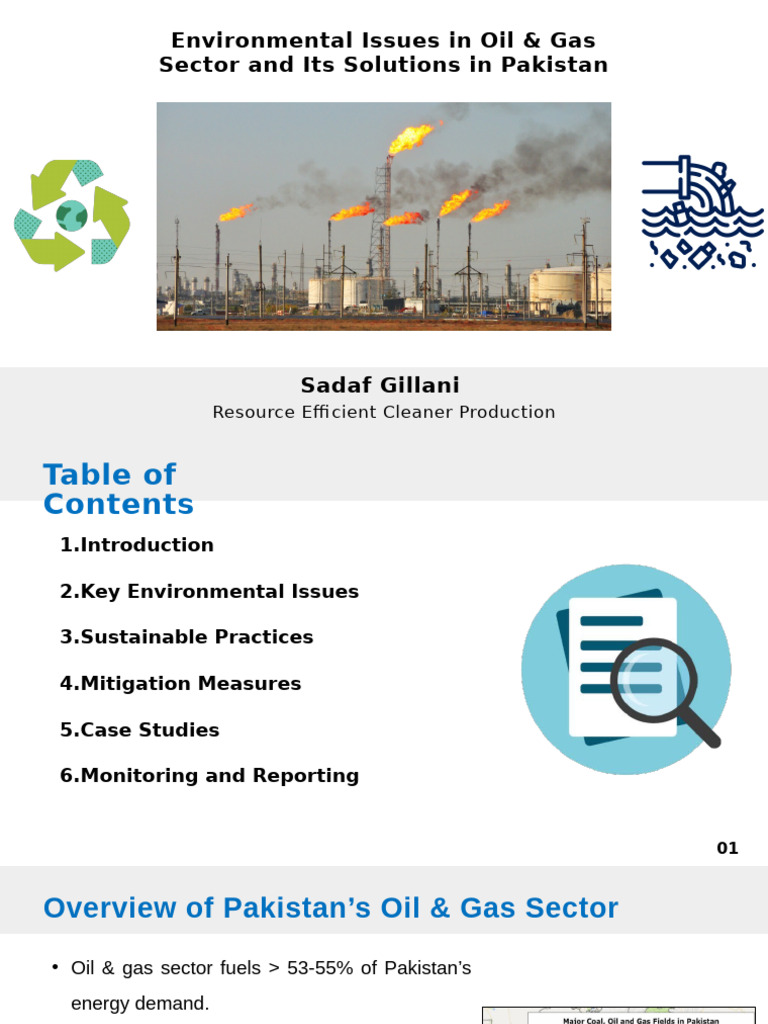 Environmental Issues - Oil and Gas Sector (Sadaf) | PDF | Natural Gas ...