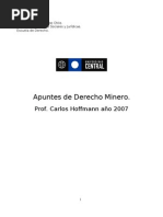 Derecho Minero, Prof. Hoffmann