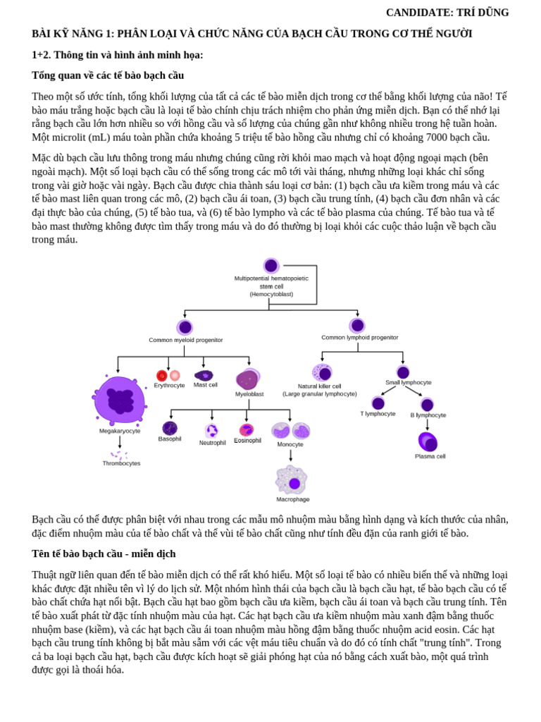 Immu | PDF