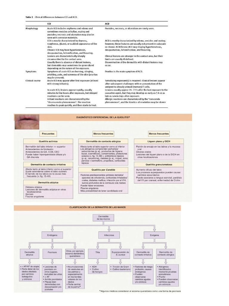 Anexo Dci Dca | PDF