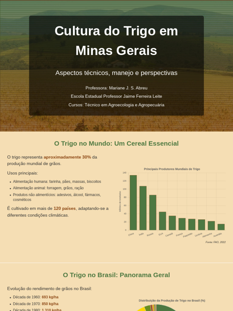 Cultivo de Trigo em Minas Gerais: Guia Completo | PDF | Cereais | Trigo