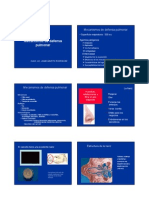 1.-Mecanismos de Defensa Pulmonar IRA v 2012