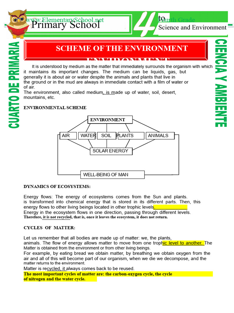 Environmental Scheme For Fourth Grade | PDF | Ecosystem | Natural ...